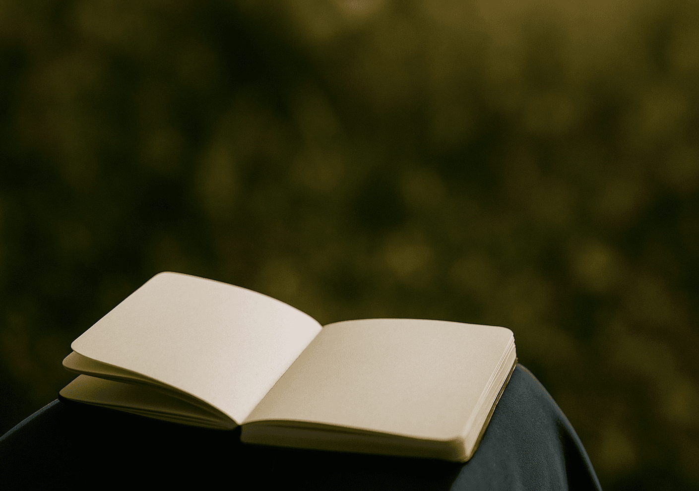 My 52 Snippets from the ‘Secrets of the Secret Place’